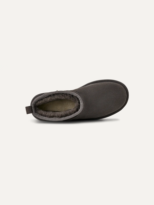 Classic Ultra Mini platform – Tørret oregano